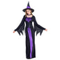 New Halloween Witch Costume - Fantasiko